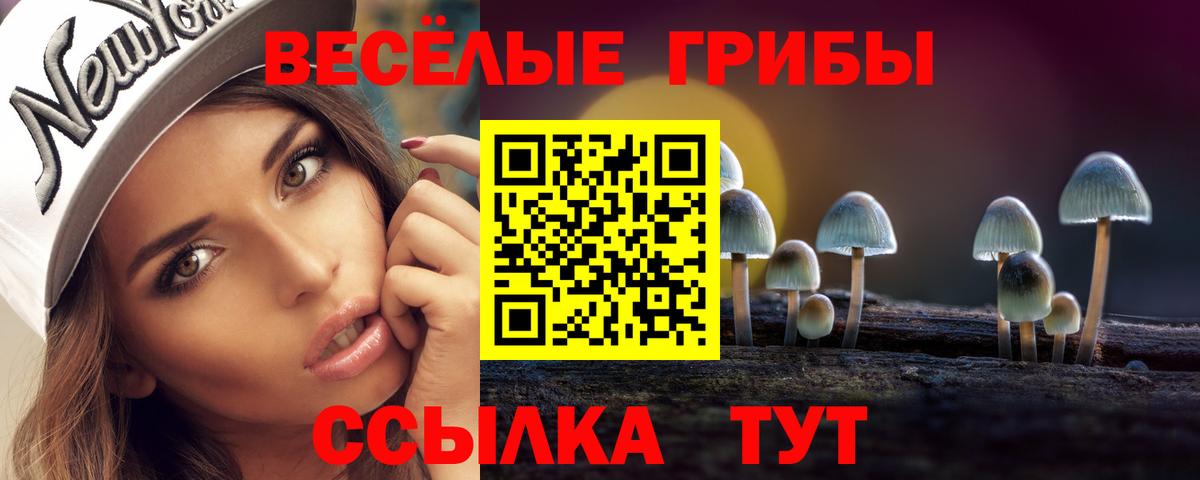 сколько стоит  Вход с VPN  Галлюциногенные грибы мухоморы  Советск  Псилоцибиновые грибы прущие грибы 